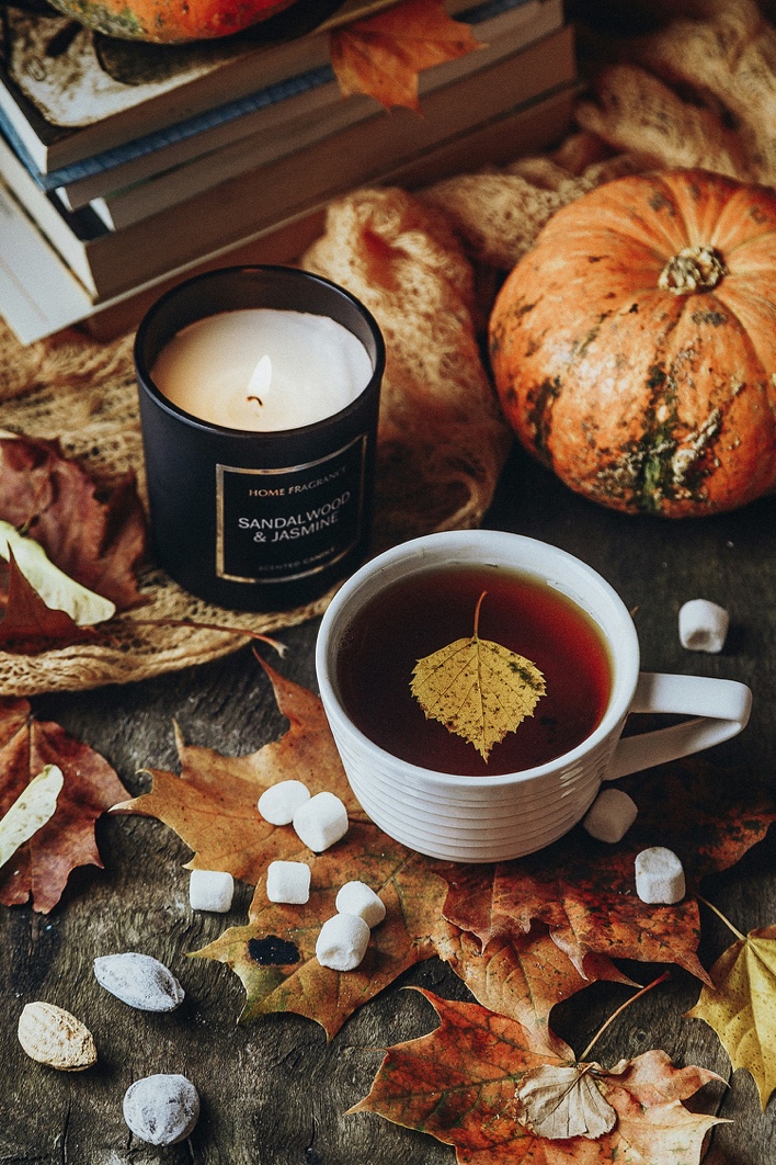 Thrive This Fall